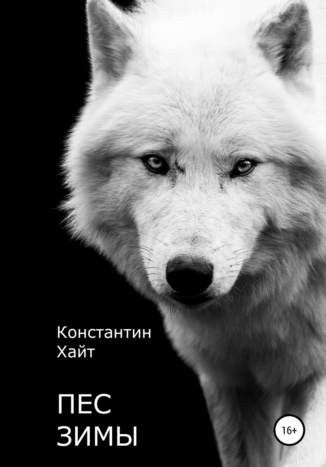 Обложка книги «Пес Зимы»