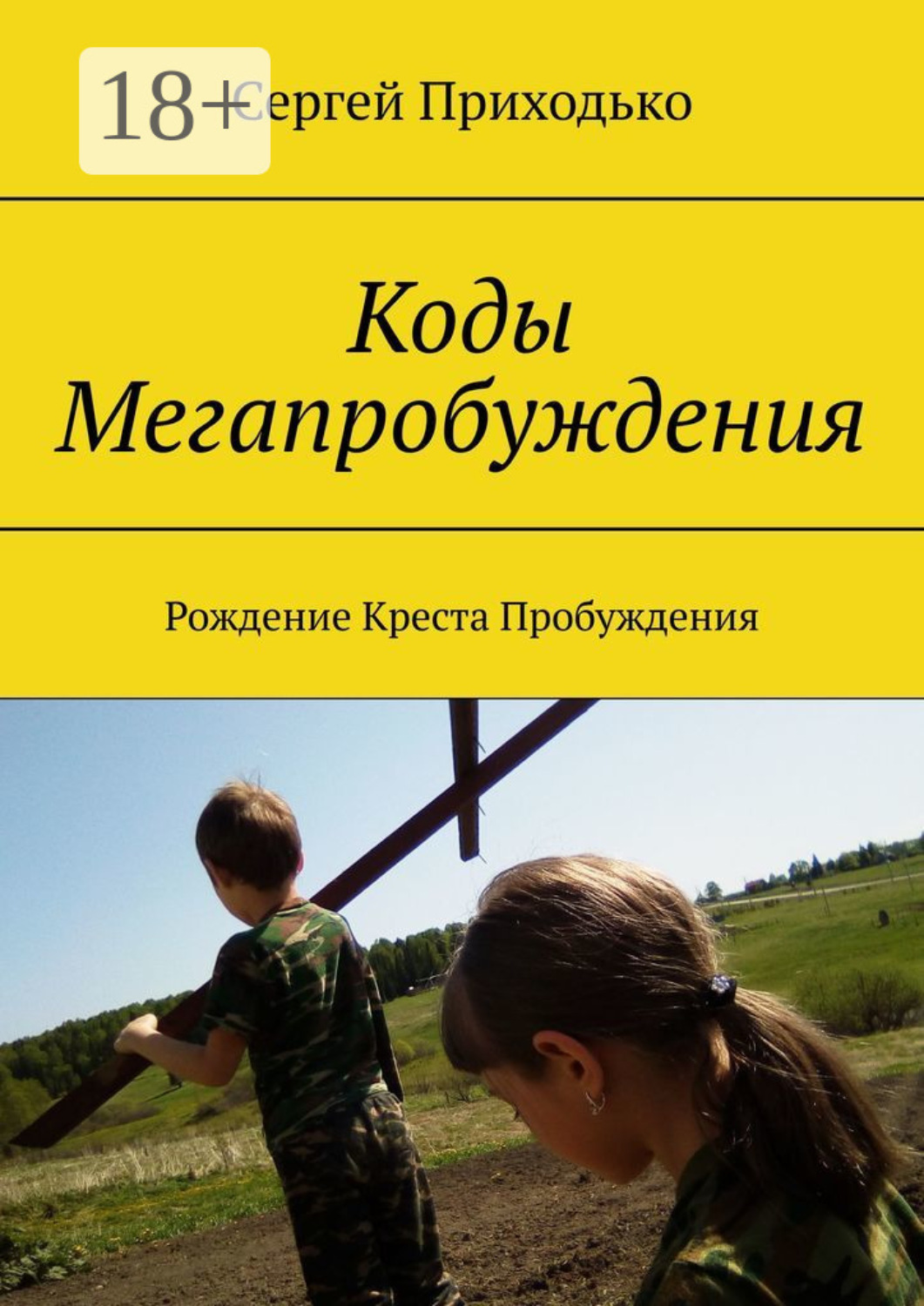 Обложка книги «Коды Мегапробуждения. Рождение Креста Пробуждения»