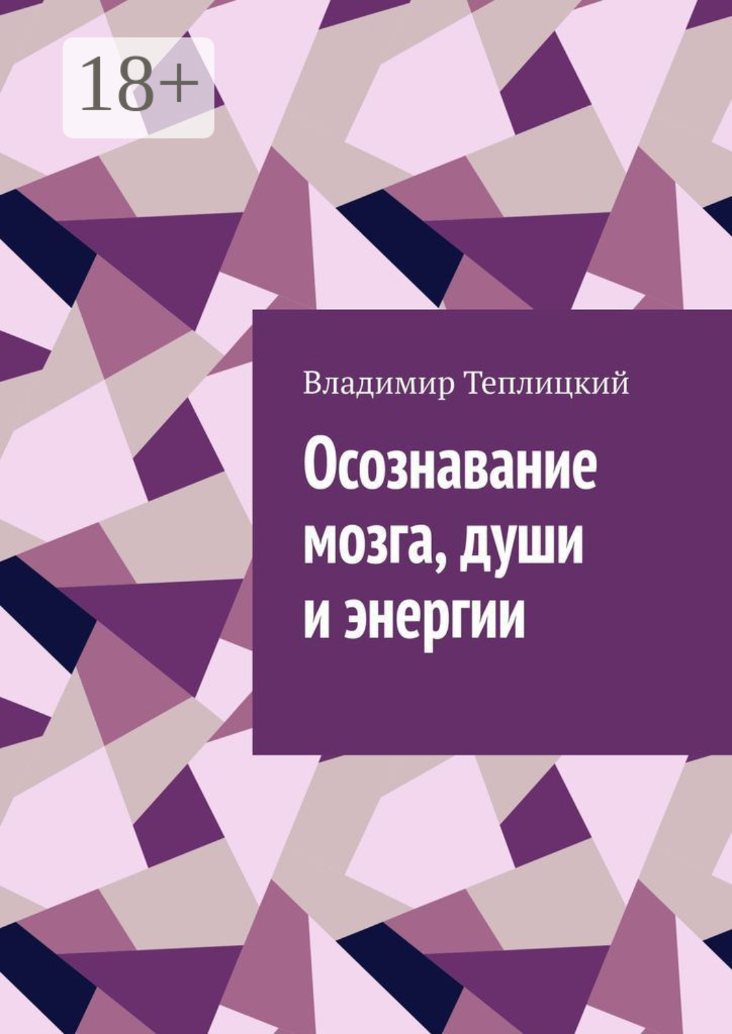 Обложка книги «Осознавание мозга, души и энергии»