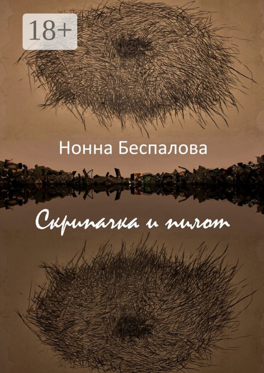 Обложка книги «Скрипачка и Пилот, или На двух берегах»