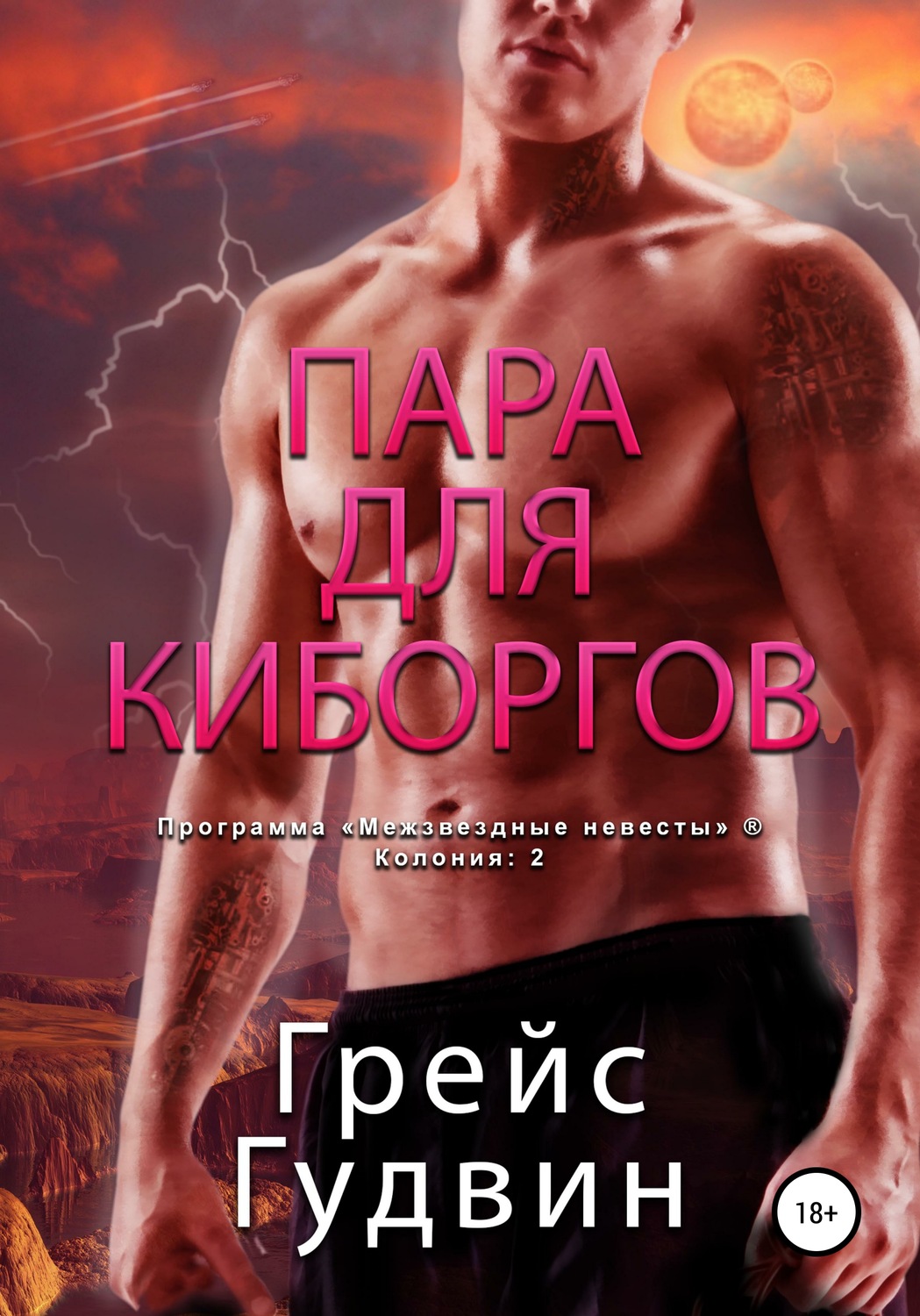 Обложка книги «Пара для киборгов»