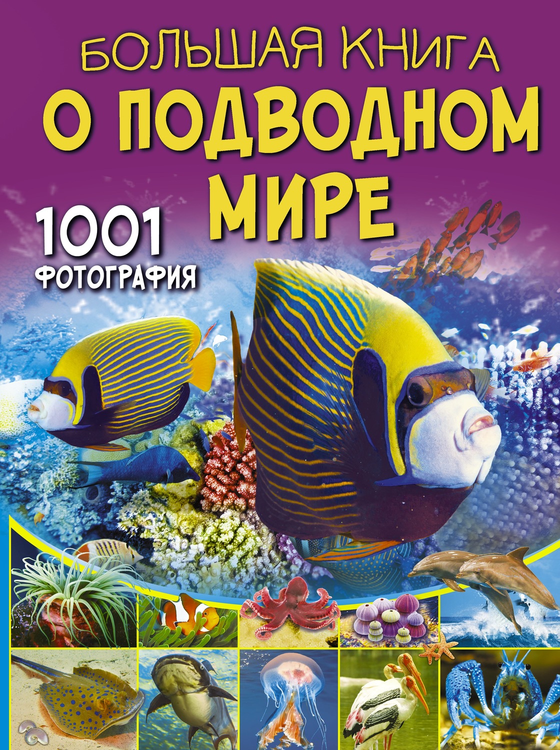 Обложка книги «Большая книга о подводном мире. 1001 фотография»