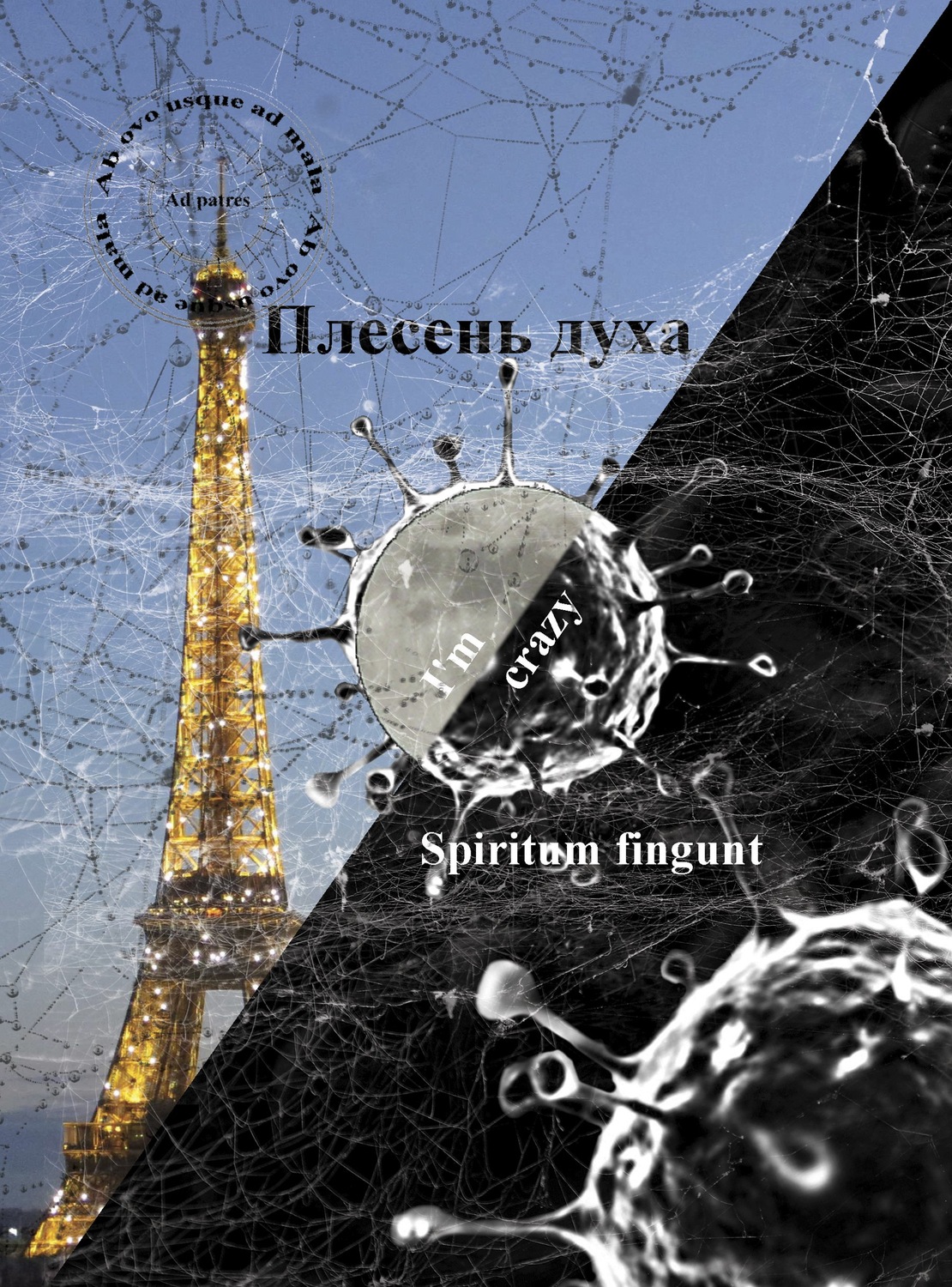 Обложка книги «Плесень духа (spiritum fingunt)»