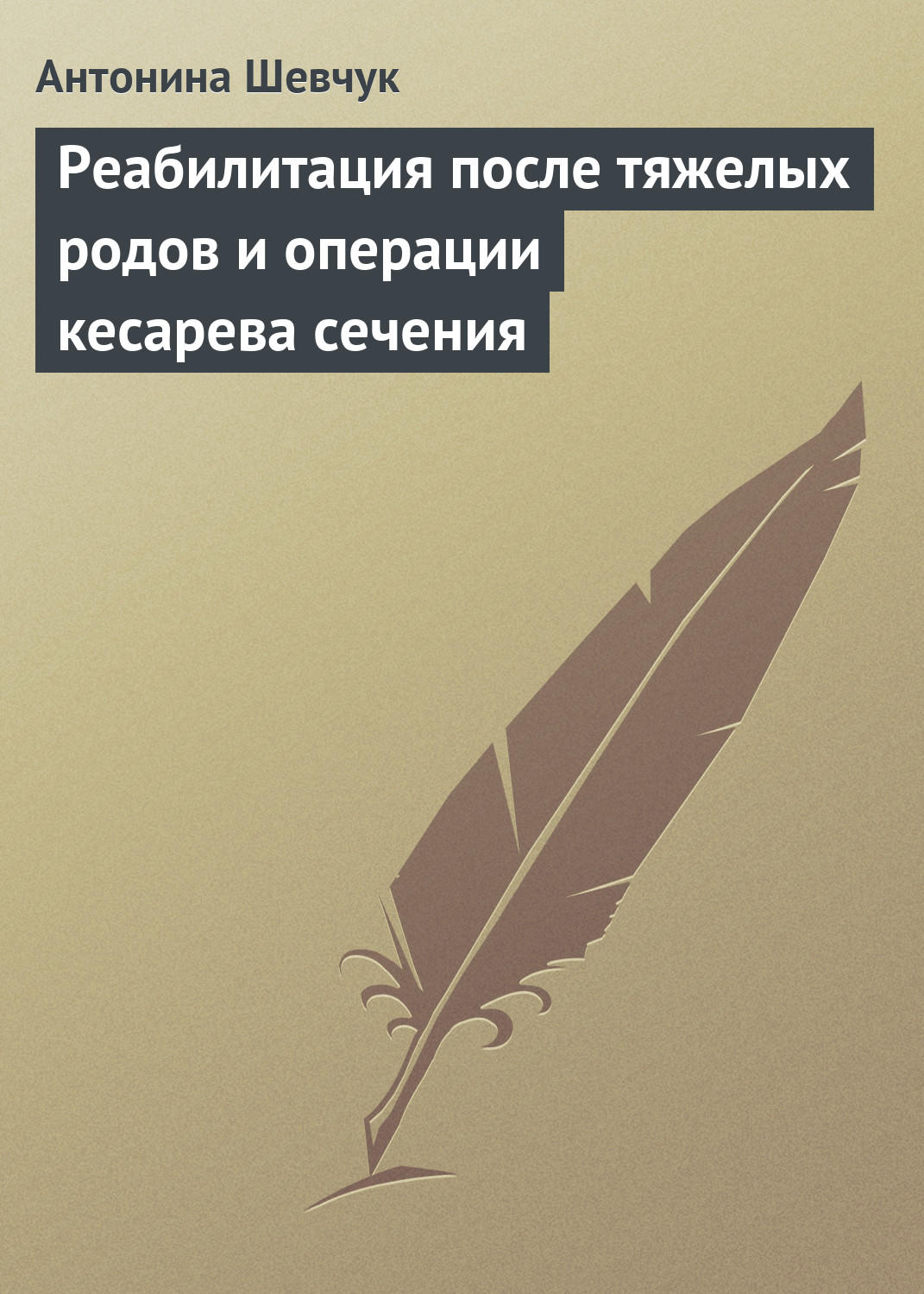 Обложка книги «Реабилитация после тяжелых родов и операции кесарева сечения»