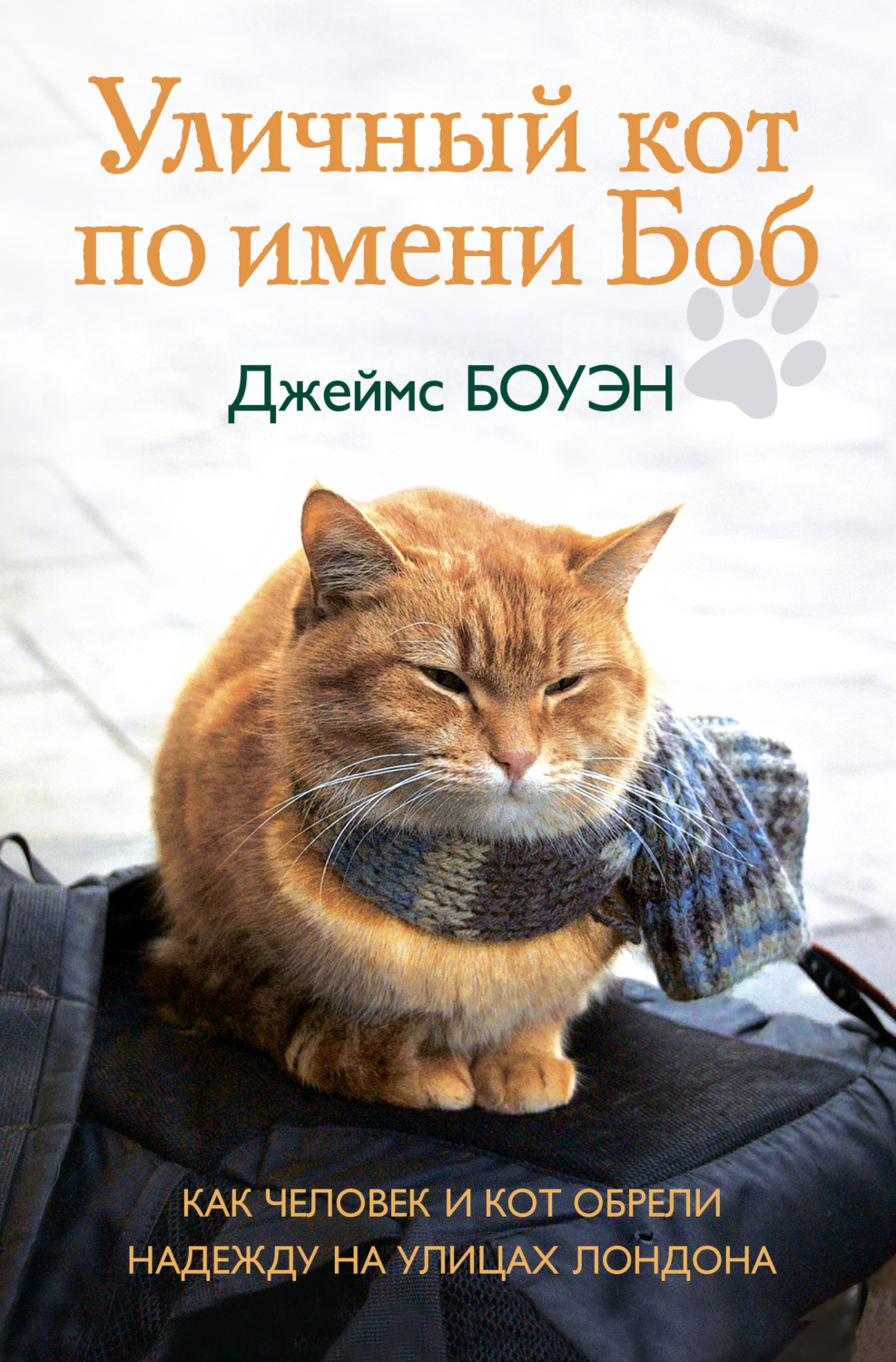 Обложка книги «Уличный кот по имени Боб. Как человек и кот обрели надежду на улицах Лондона»