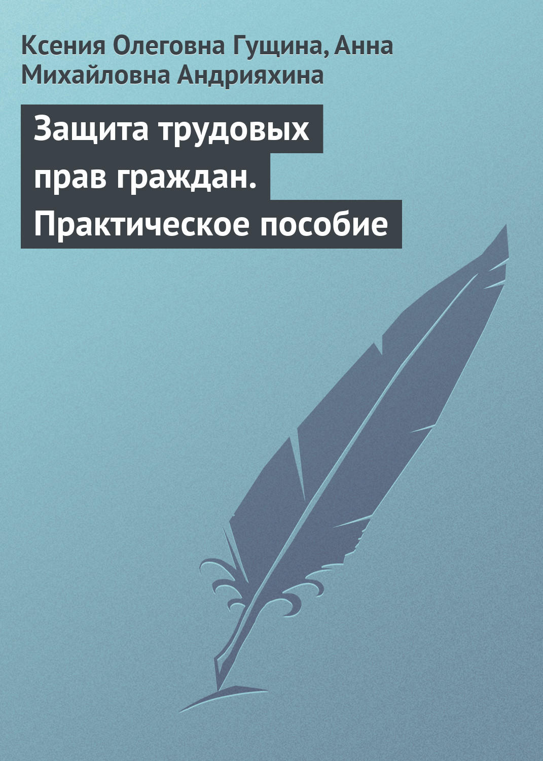 Обложка книги «Защита трудовых прав граждан. Практическое пособие»
