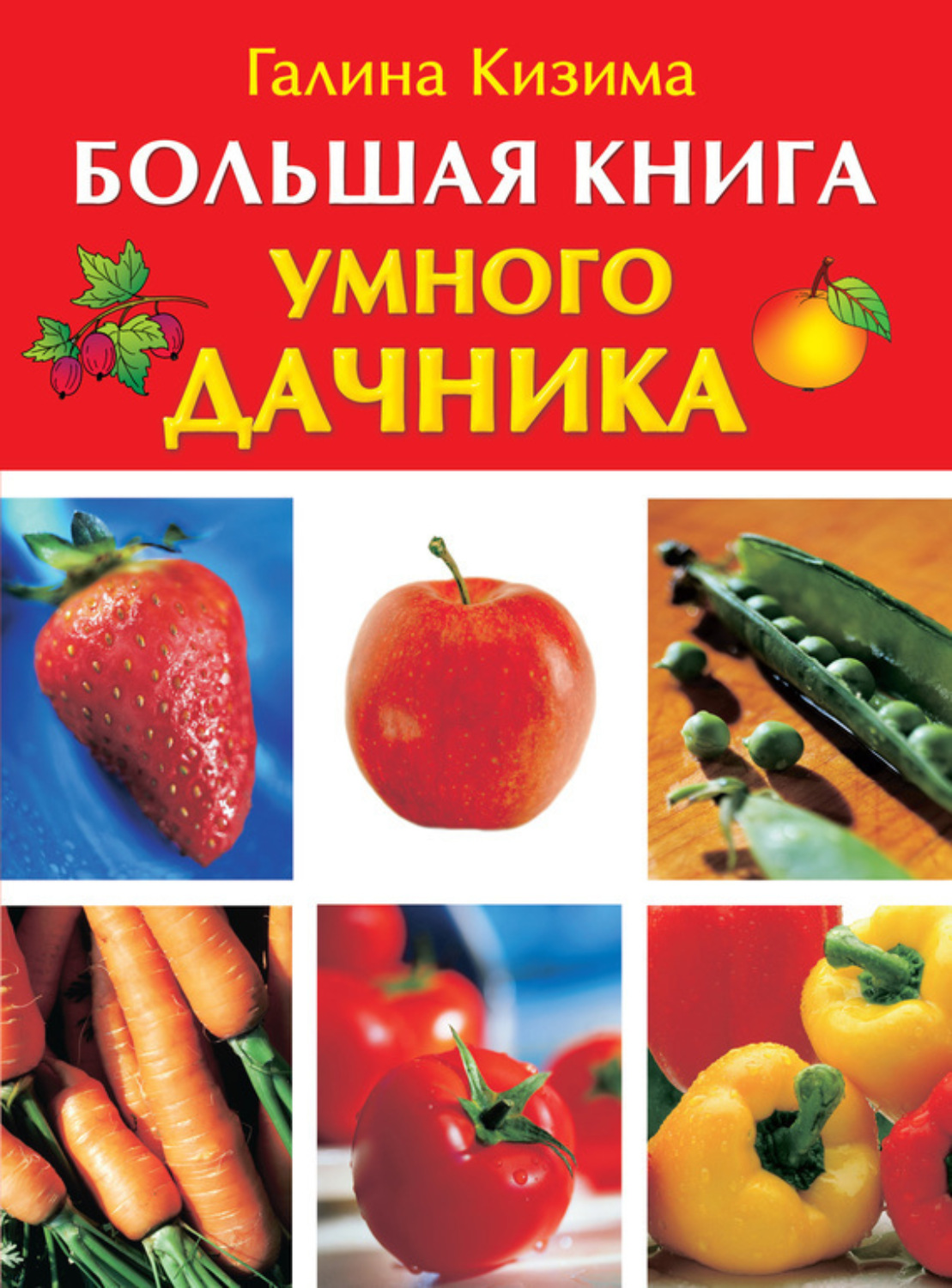 Обложка книги «Большая книга умного дачника»