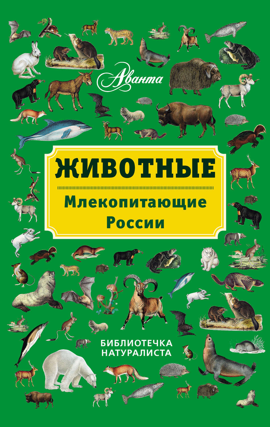 Обложка книги «Животные. Млекопитающие России»