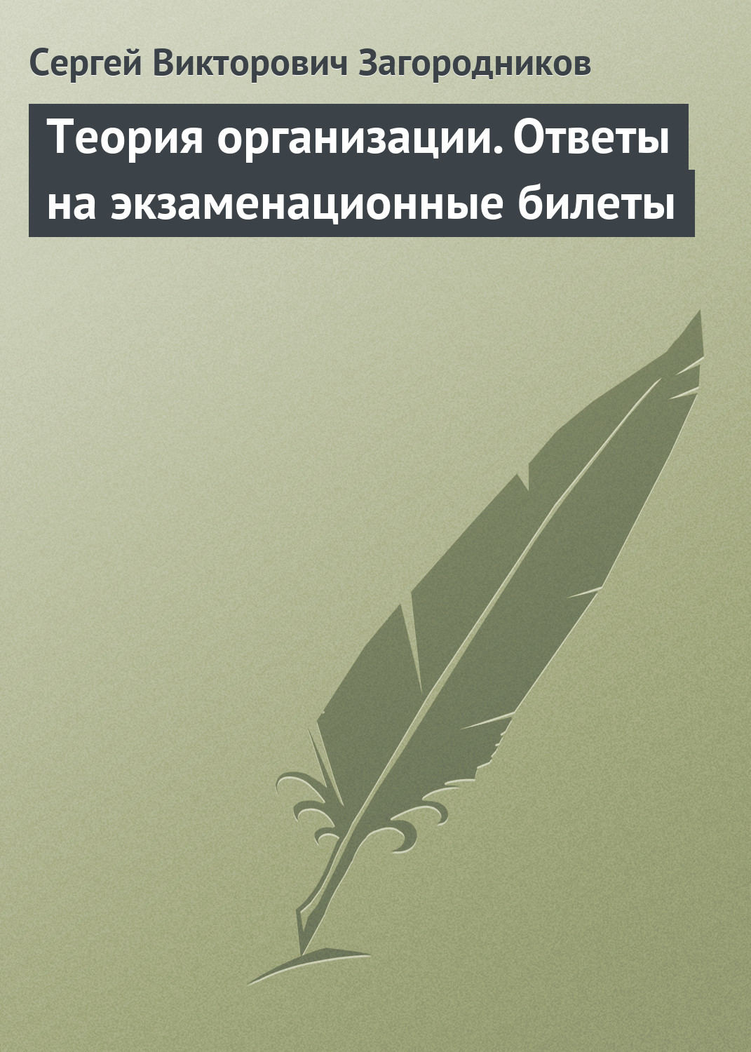 Обложка книги «Теория организации. Ответы на экзаменационные билеты»