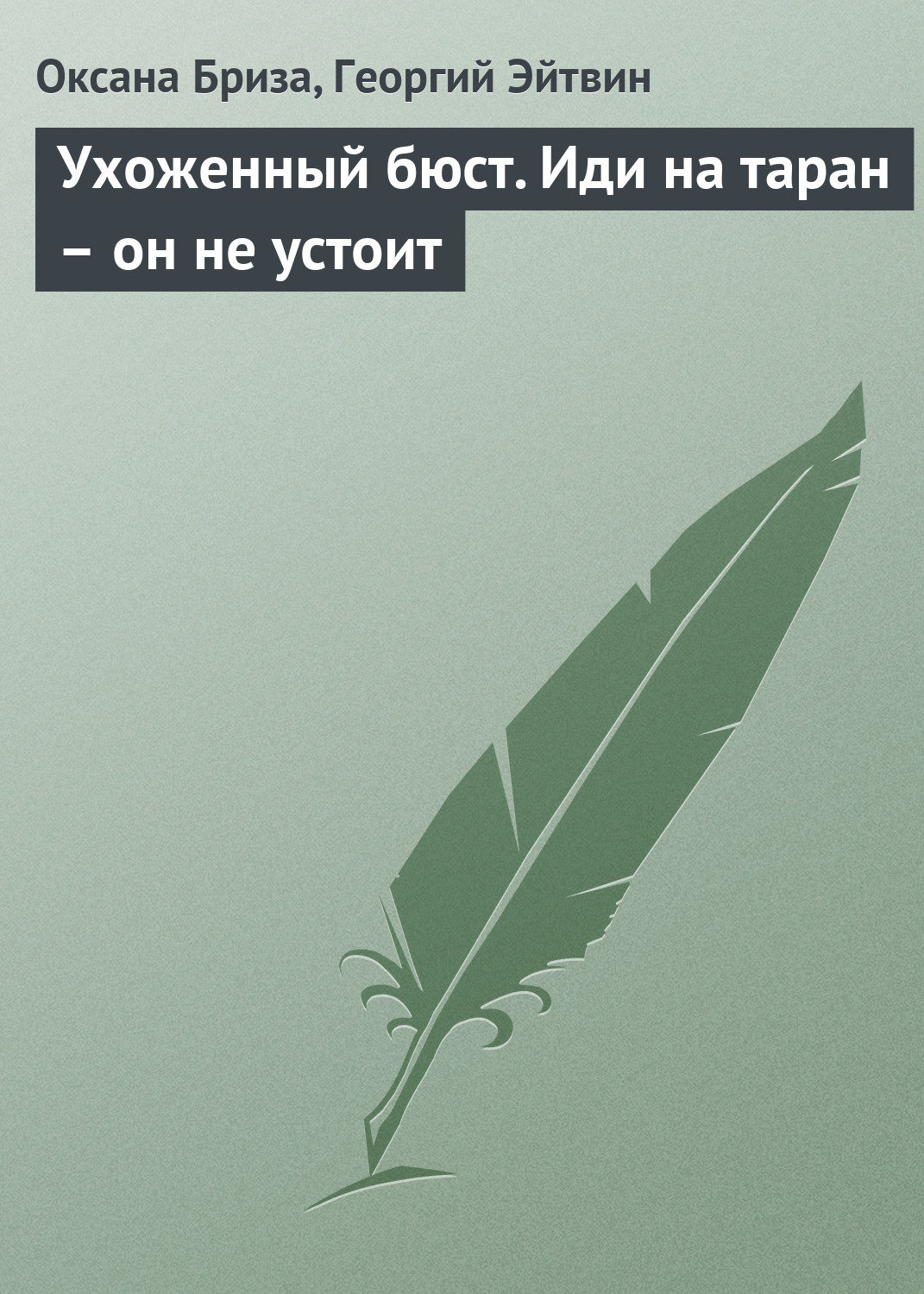 Обложка книги «Ухоженный бюст. Иди на таран – он не устоит»