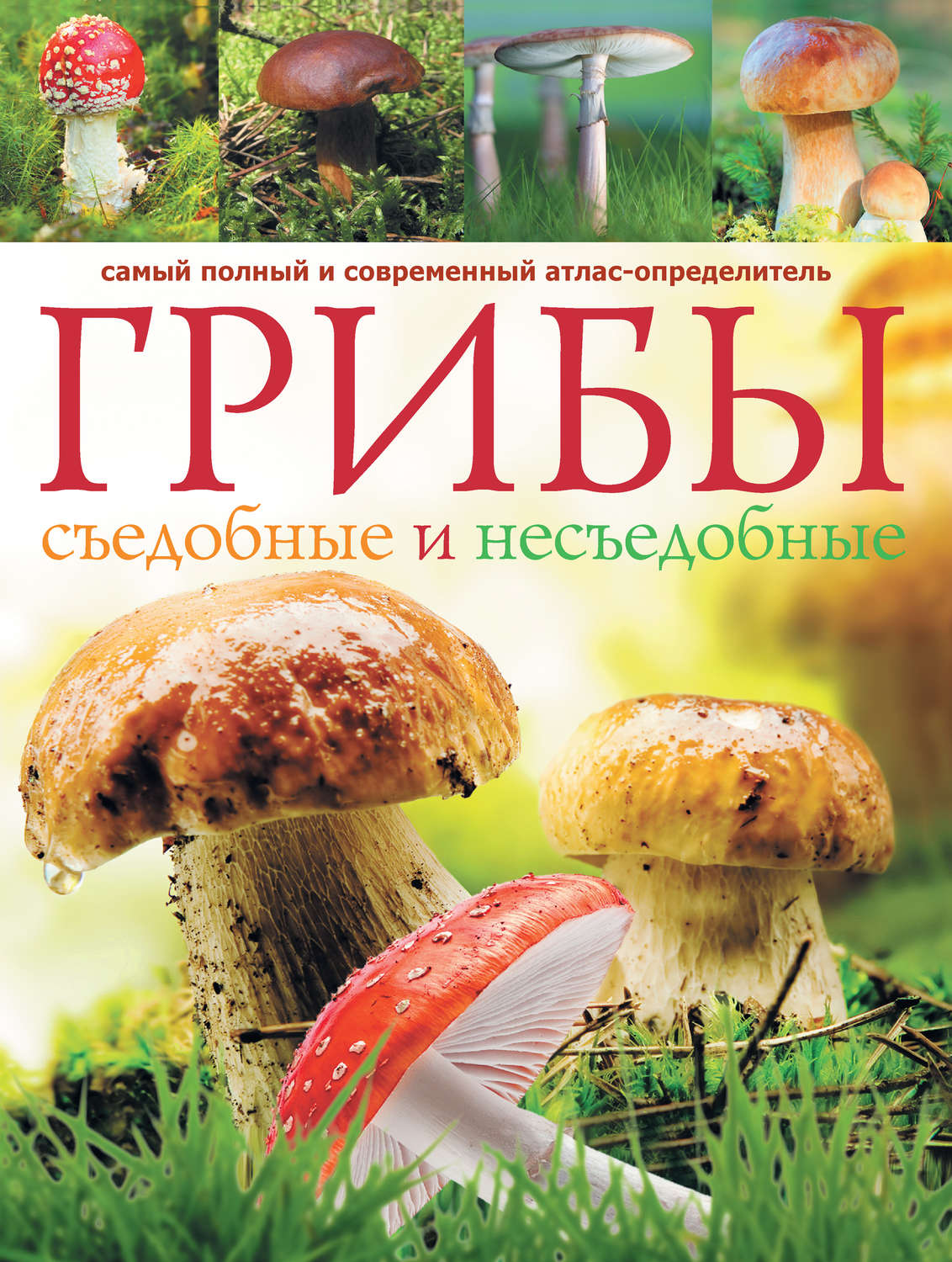 Обложка книги «Грибы. Съедобные и несъедобные: Самый полный и современный атлас-определитель»