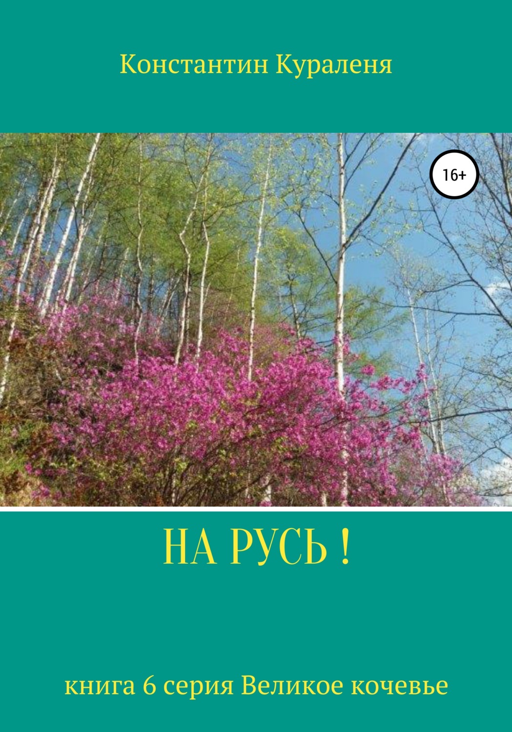 Обложка книги «НА РУСЬ!»