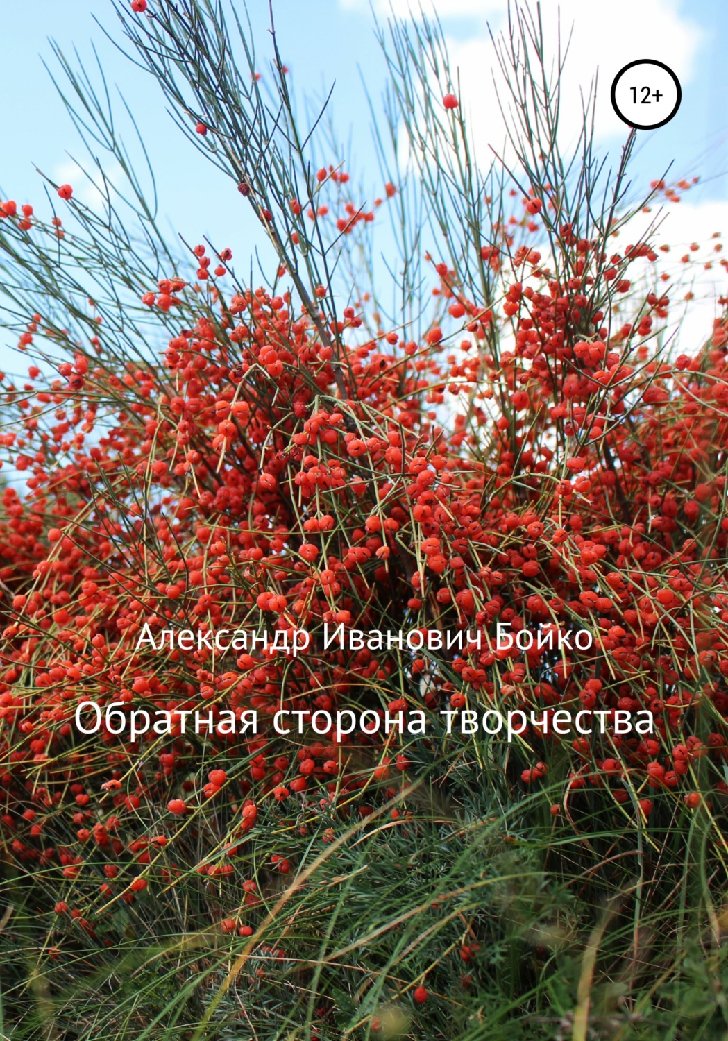 Обложка книги «Обратная сторона творчества»