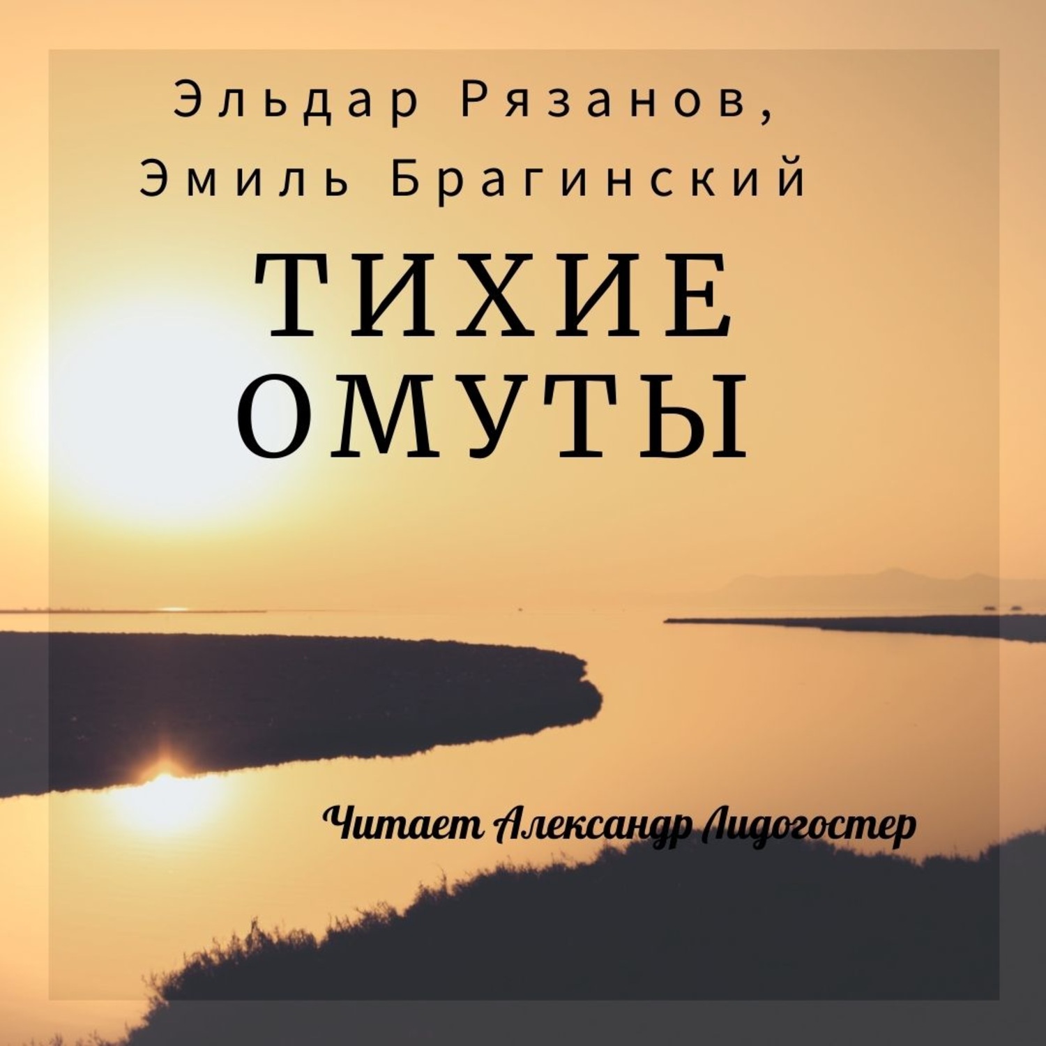 Обложка книги «Тихие омуты»