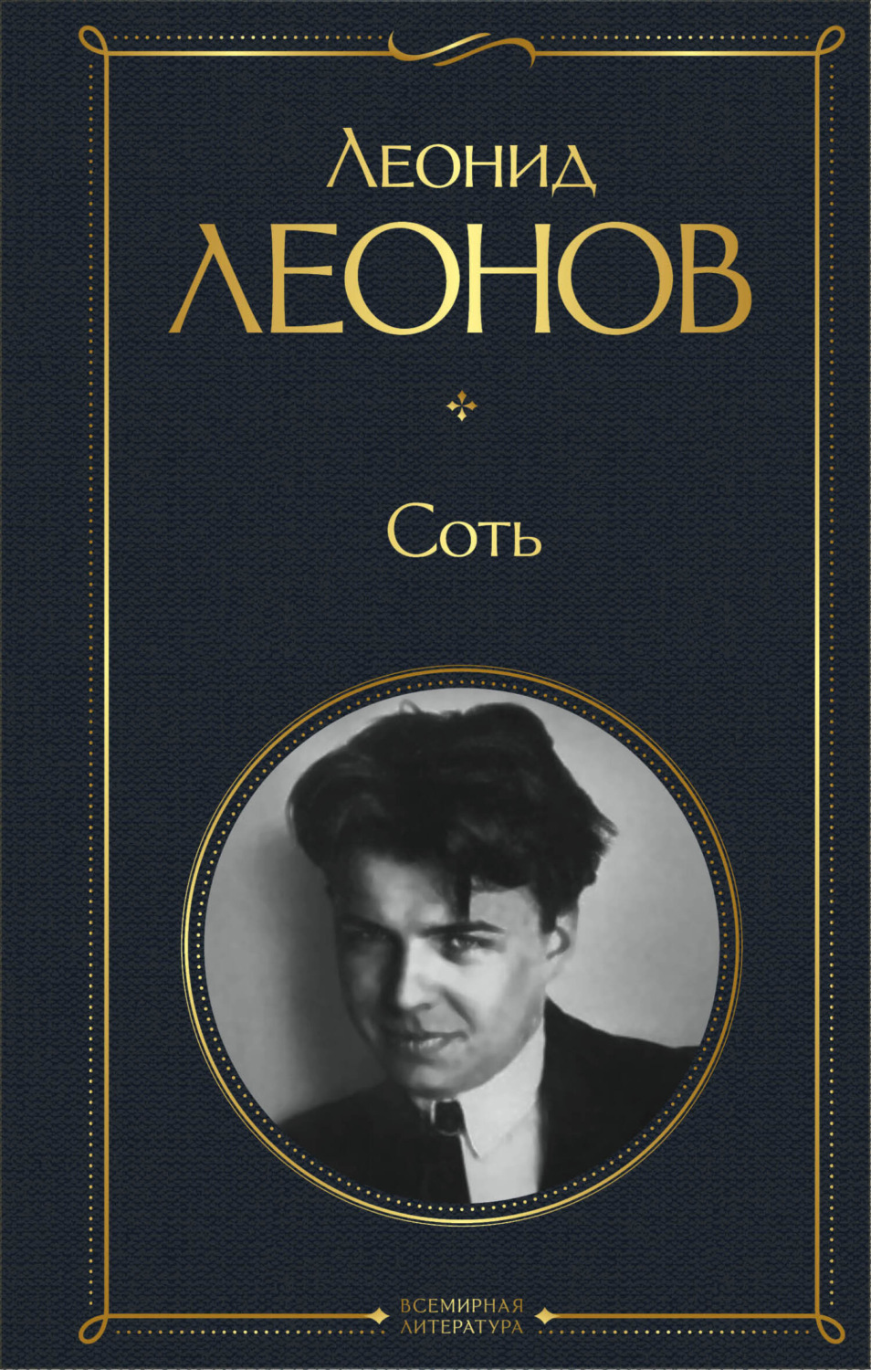 Обложка книги «Соть»