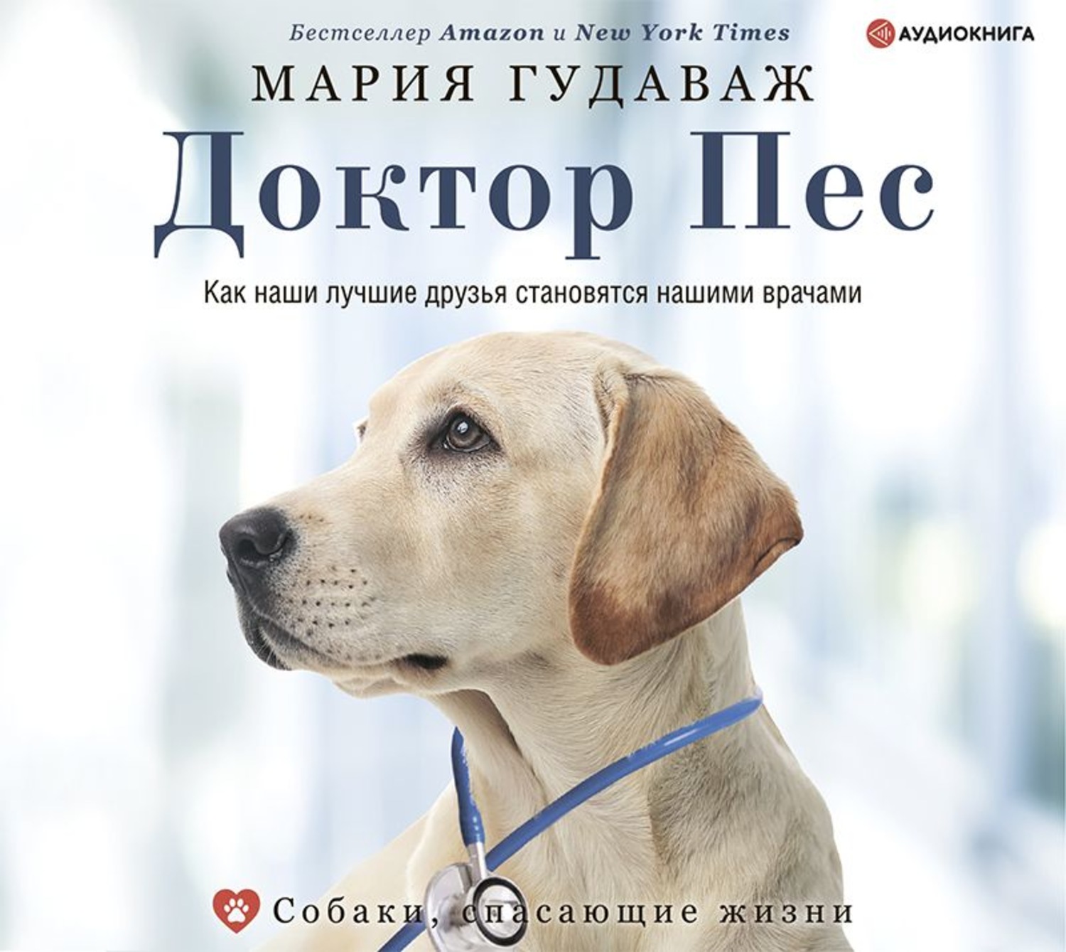 Обложка книги «Доктор Пес. Как наши лучшие друзья становятся нашими врачами»