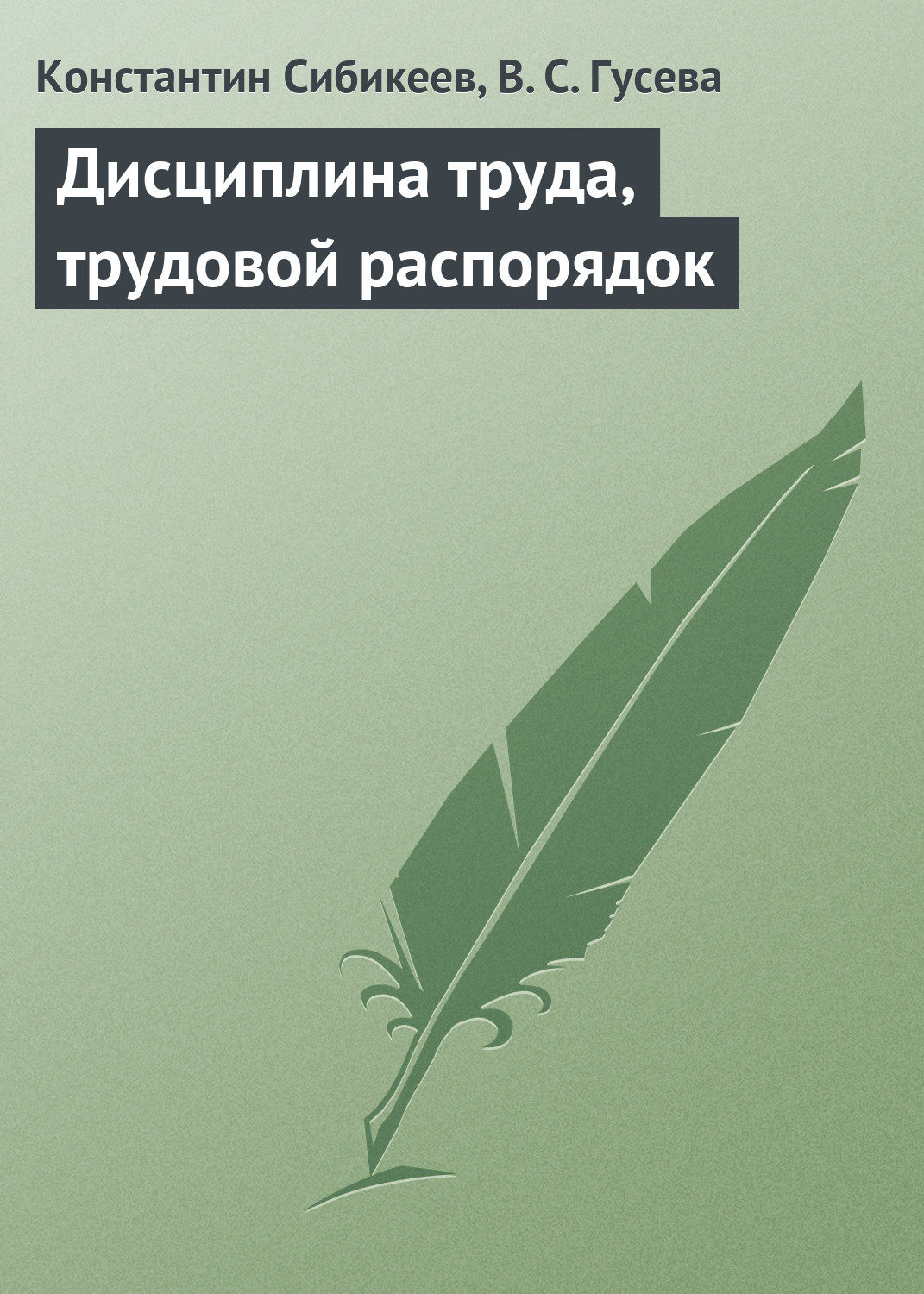 Обложка книги «Дисциплина труда, трудовой распорядок»
