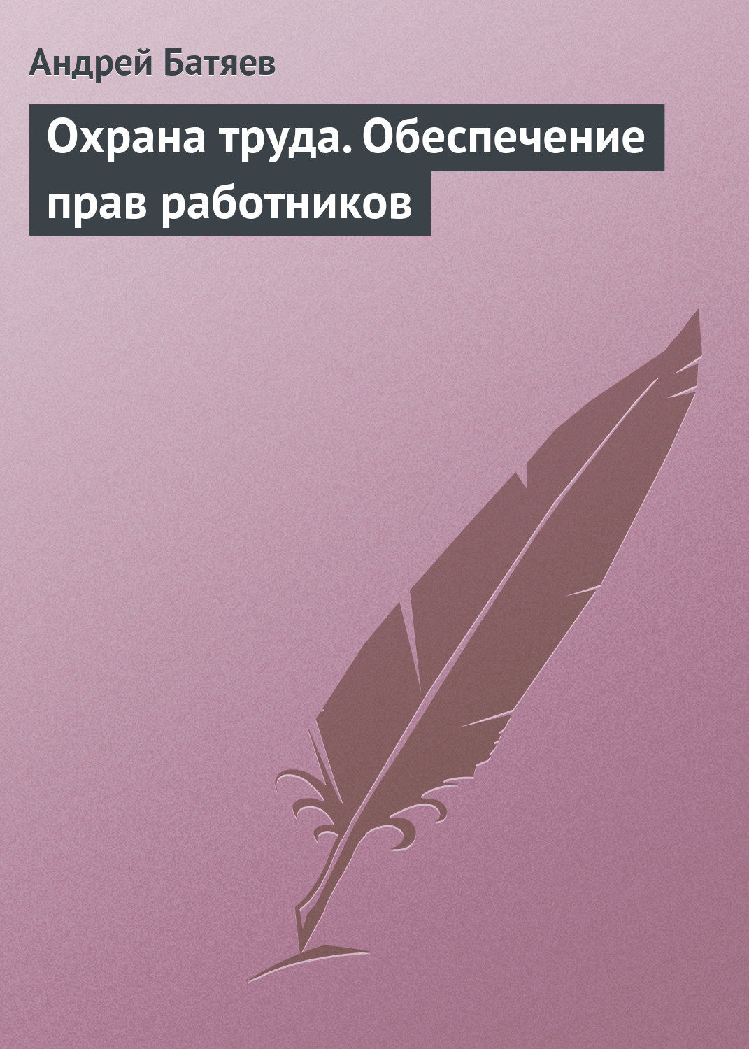Обложка книги «Охрана труда. Обеспечение прав работников»