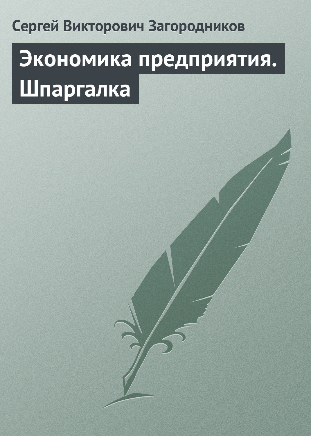Обложка книги «Экономика предприятия. Шпаргалка»