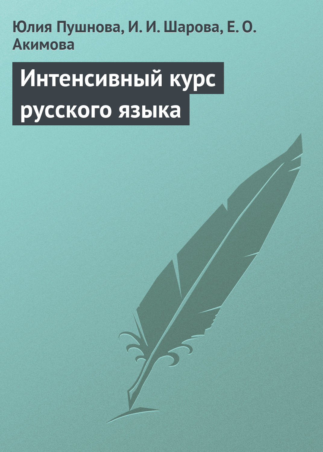 Обложка книги «Интенсивный курс русского языка»