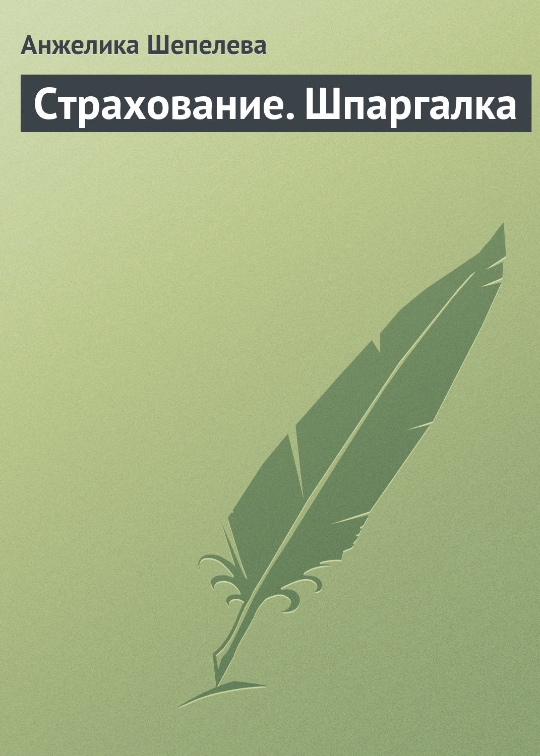 Обложка книги «Страхование. Шпаргалка»