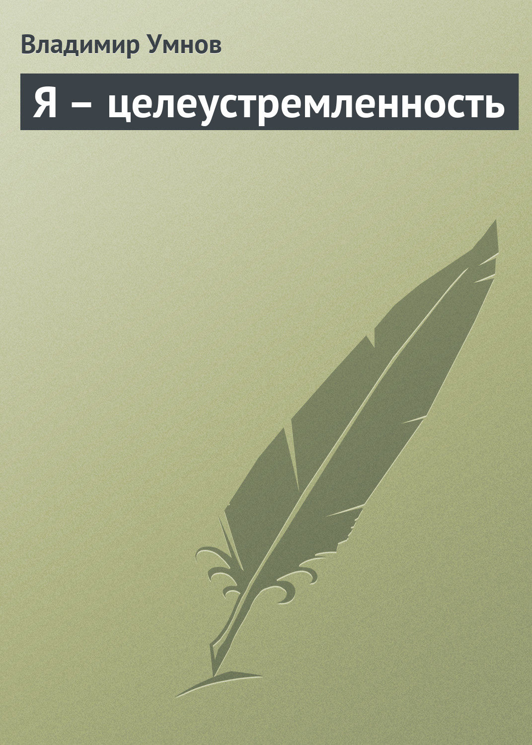 Обложка книги «Я – целеустремленность»
