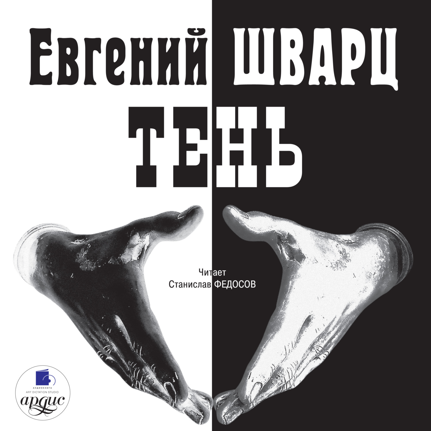 Обложка книги «Тень»