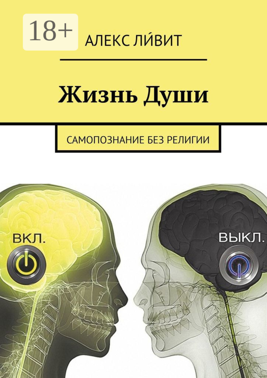 Обложка книги «Жизнь Души. Самопознание без религии»