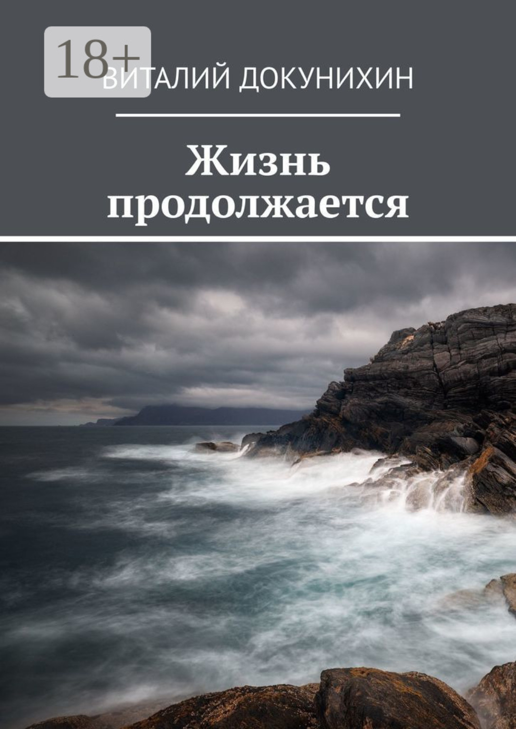 Обложка книги «Жизнь продолжается»