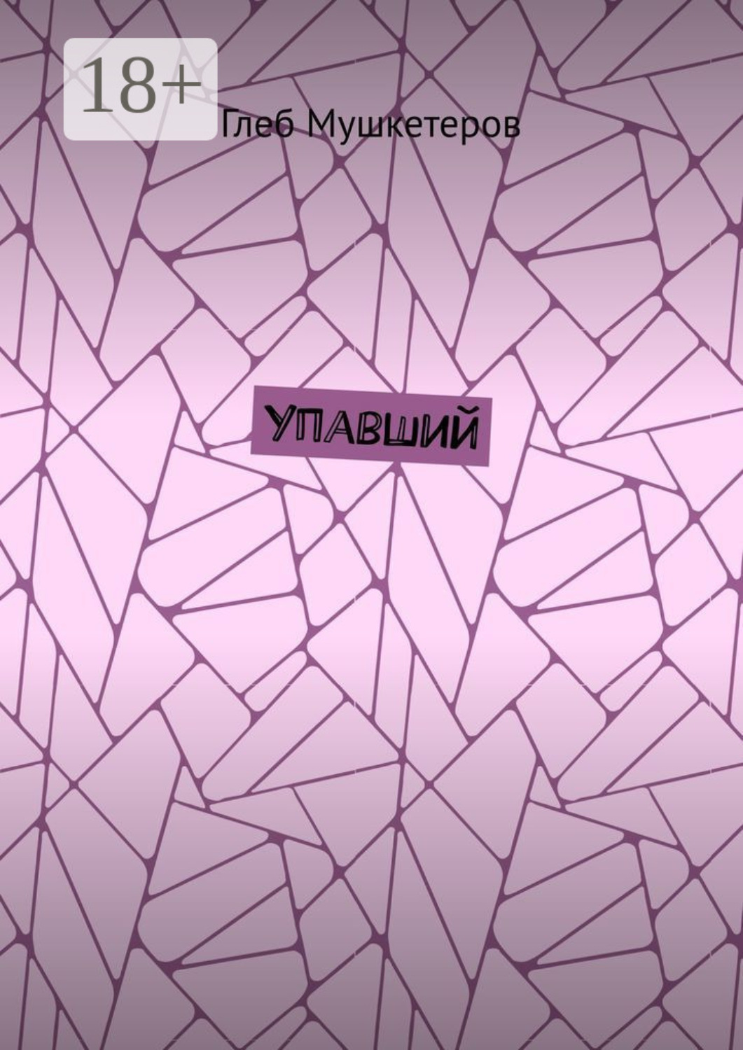 Обложка книги «Упавший»