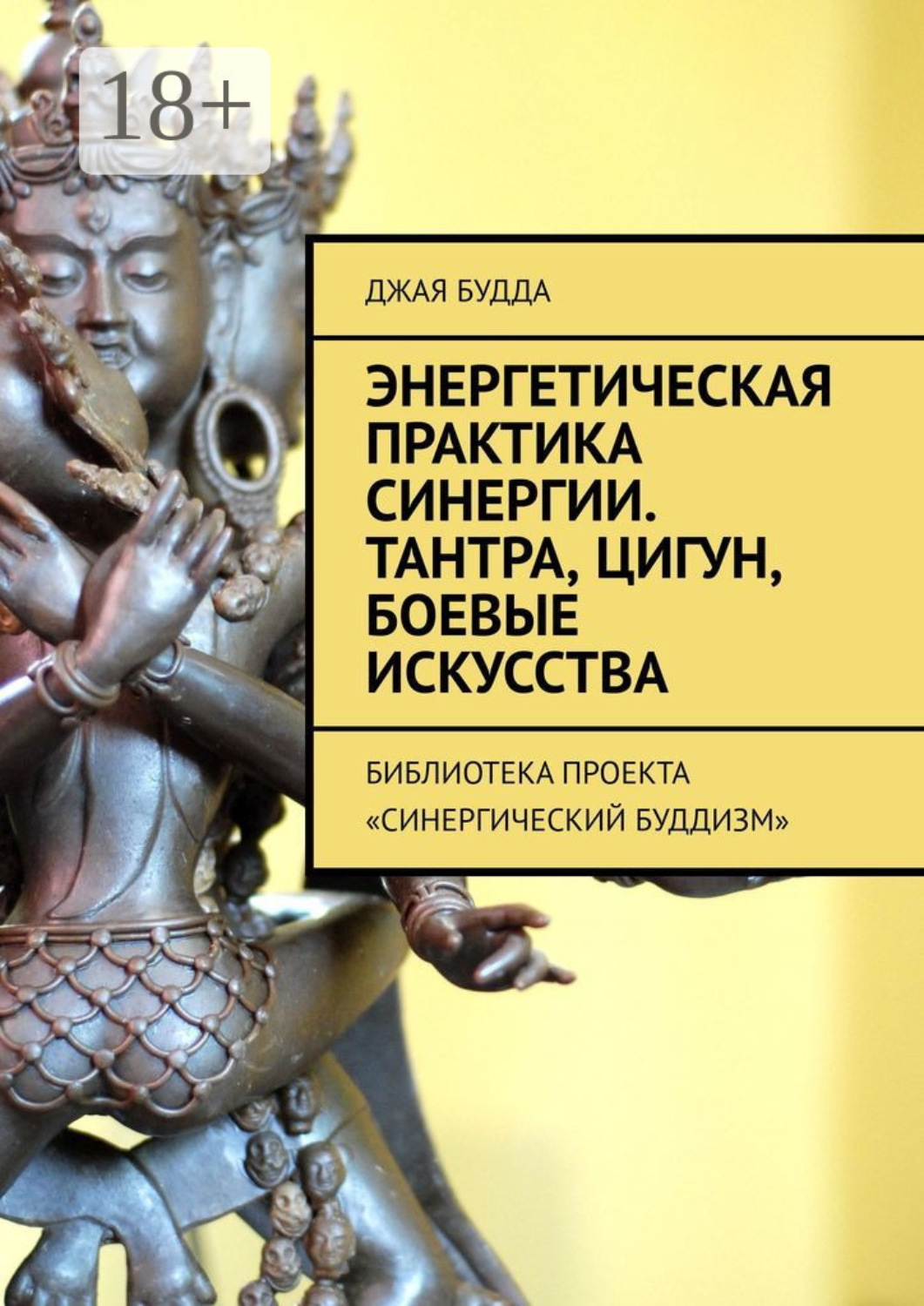 Обложка книги «Энергетическая практика синергии. Тантра, цигун, боевые искусства. Библиотека проекта «Синергический буддизм»»