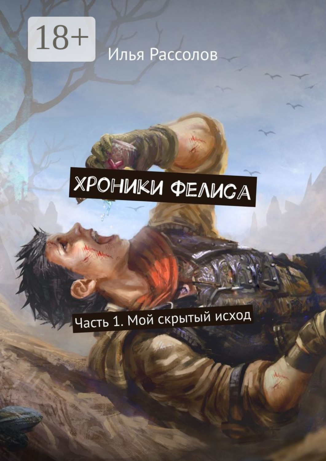 Обложка книги «Хроники Фелиса. Часть 1. Мой скрытый исход»