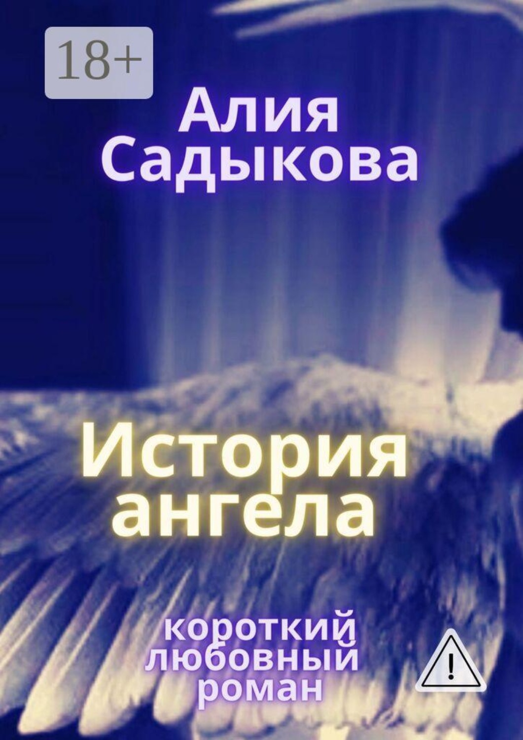 Обложка книги «История ангела»