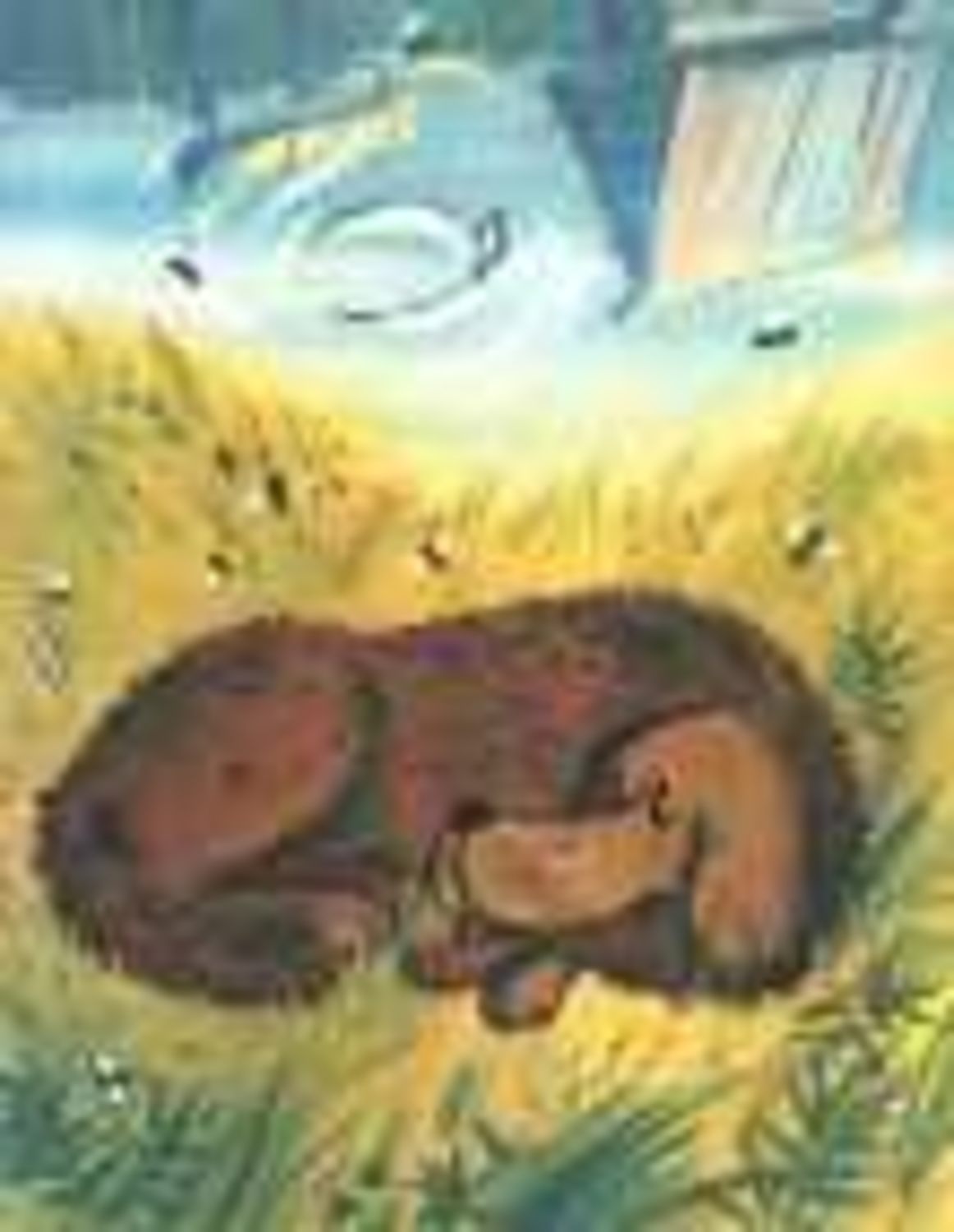 Обложка книги «Полкан»