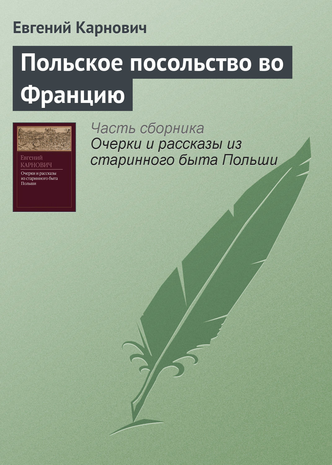 Обложка книги «Польское посольство во Францию»
