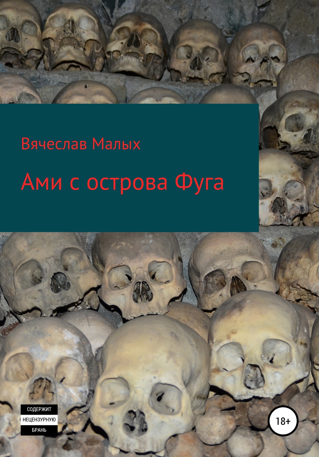 Обложка книги «Ами с острова Фуга»