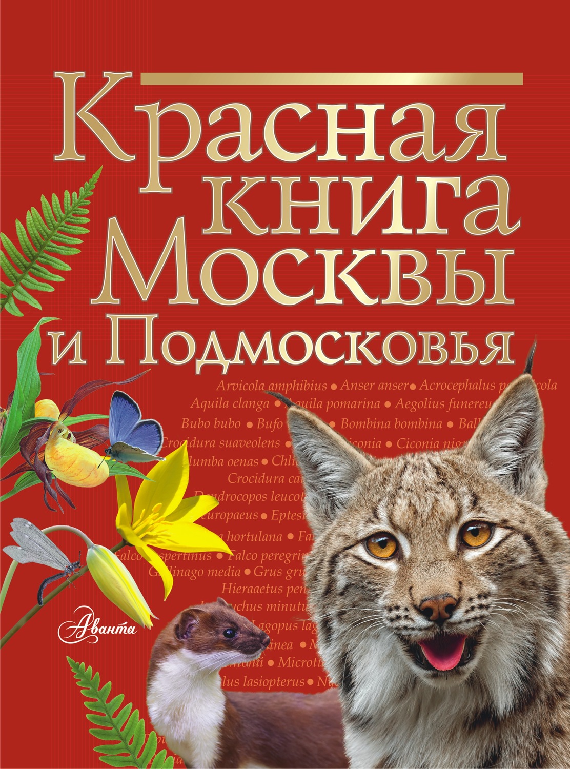 Обложка книги «Красная книга Москвы и Подмосковья»