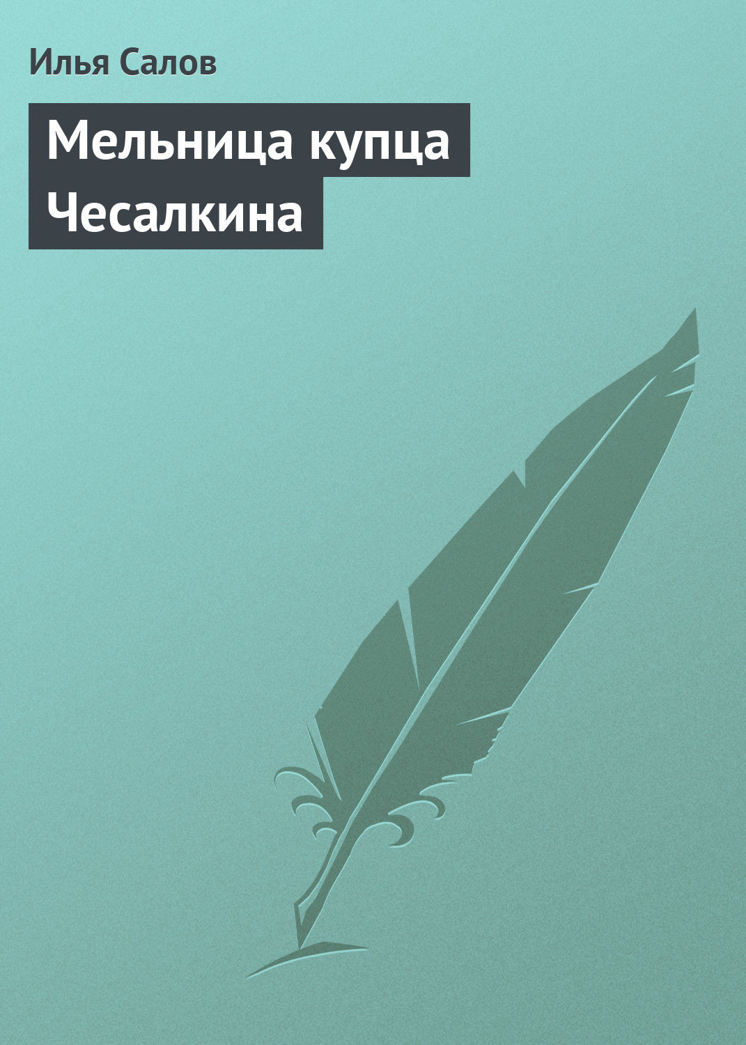 Обложка книги «Мельница купца Чесалкина»