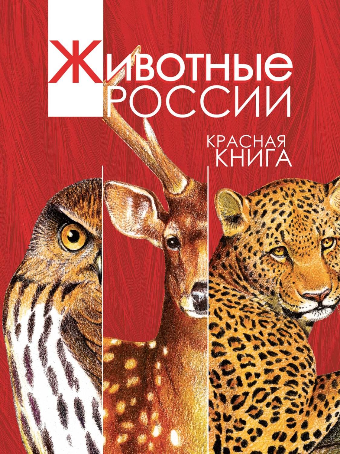 Обложка книги «Животные России. Красная книга»