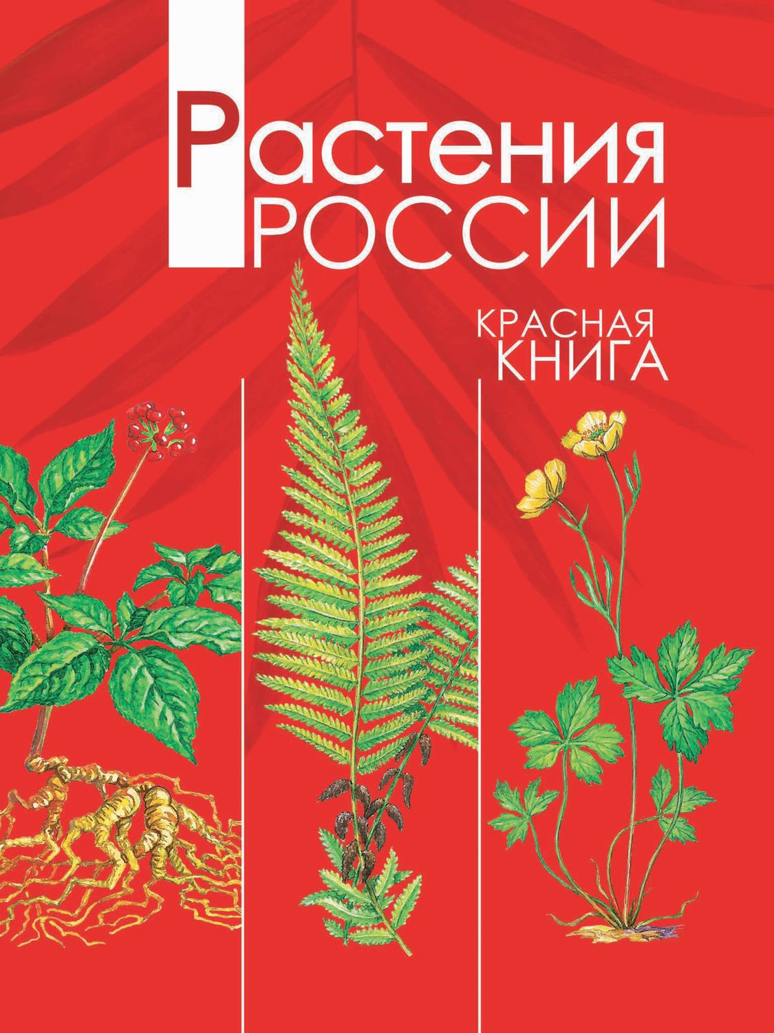 Обложка книги «Растения России. Красная книга»