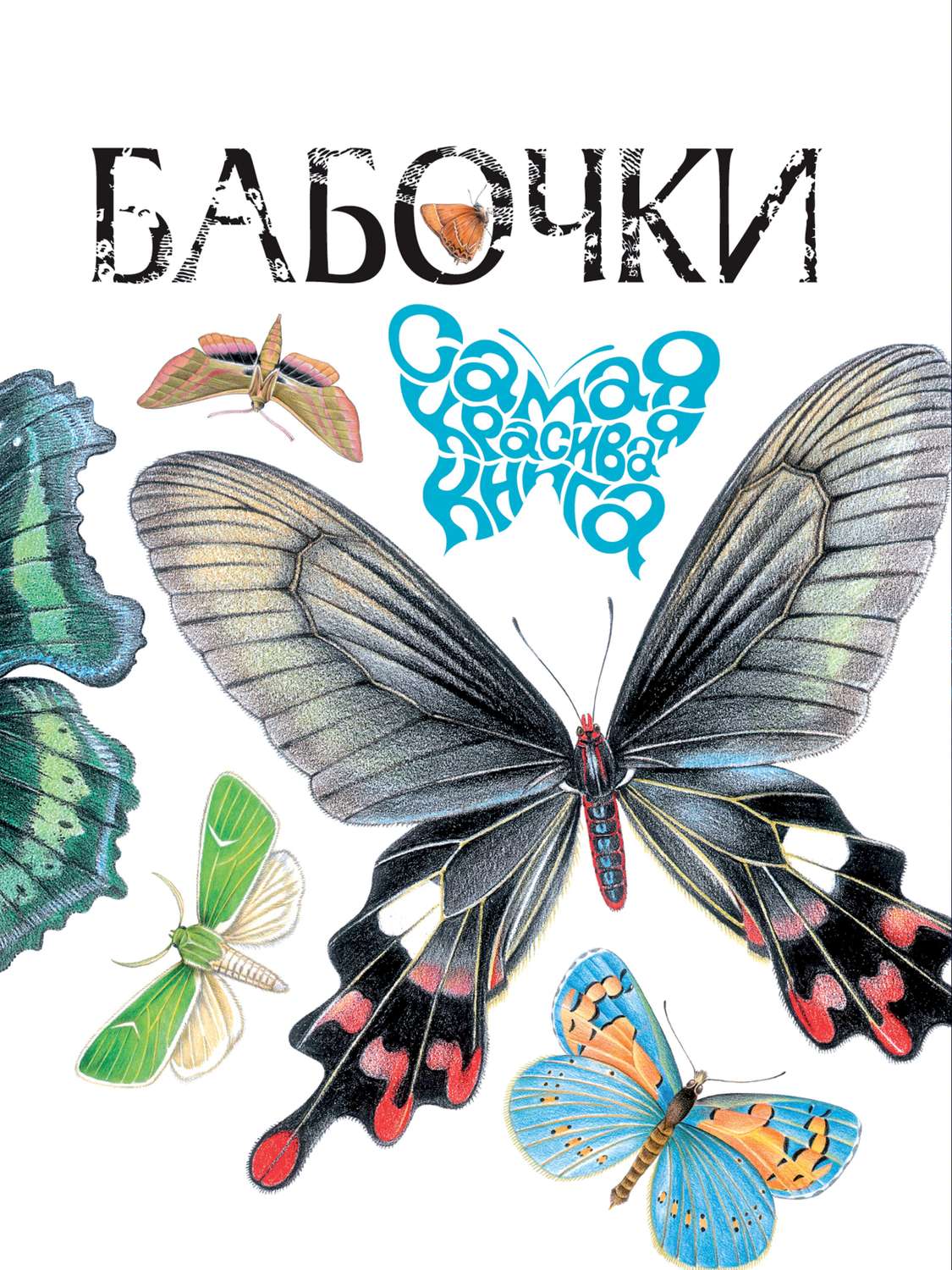 Обложка книги «Бабочки»