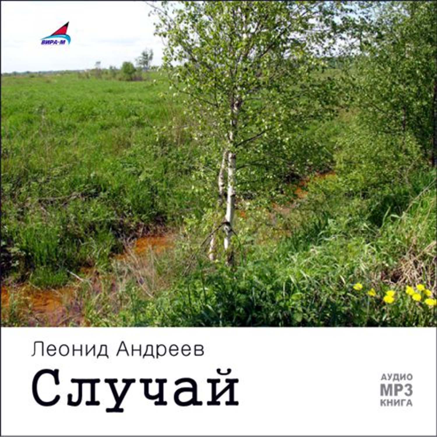 Обложка книги «Случай. Рассказы»