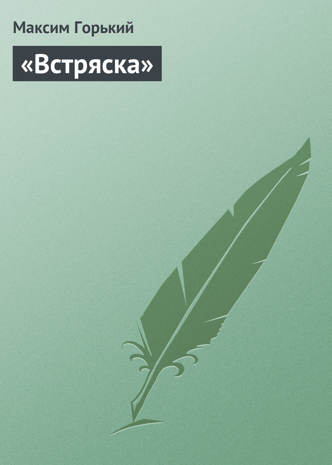 Обложка книги ««Встряска»»