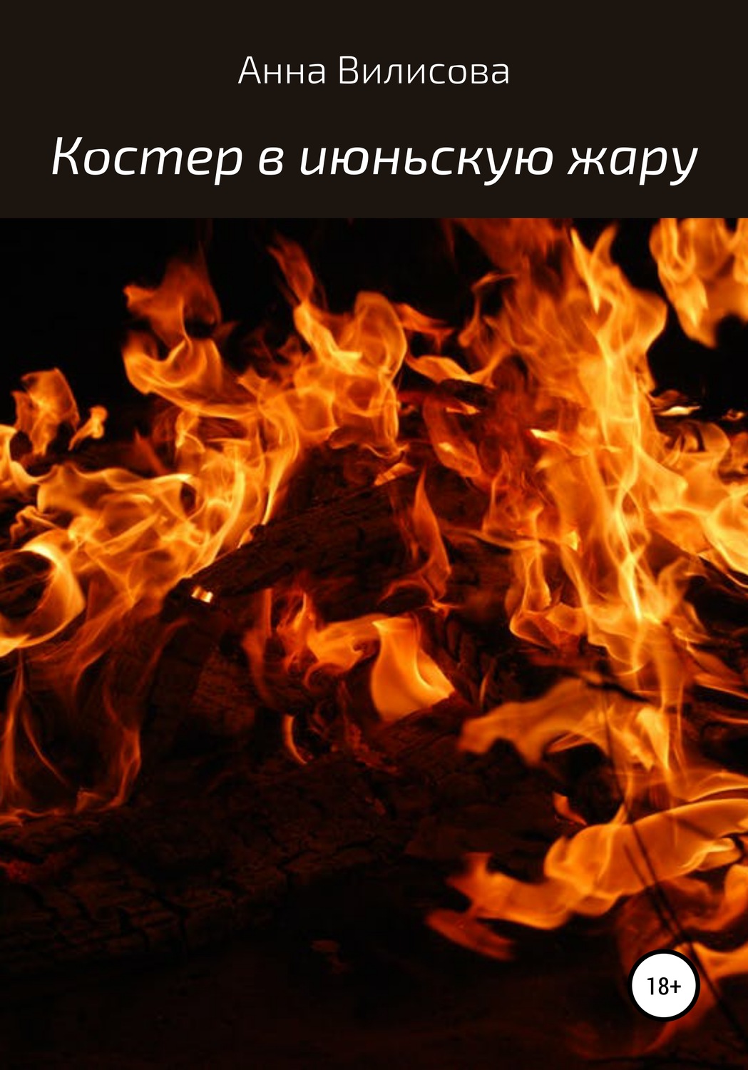 Обложка книги «Костер в июньскую жару»