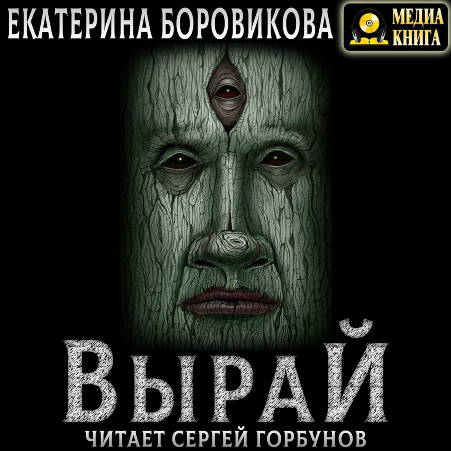 Обложка книги «Вырай»