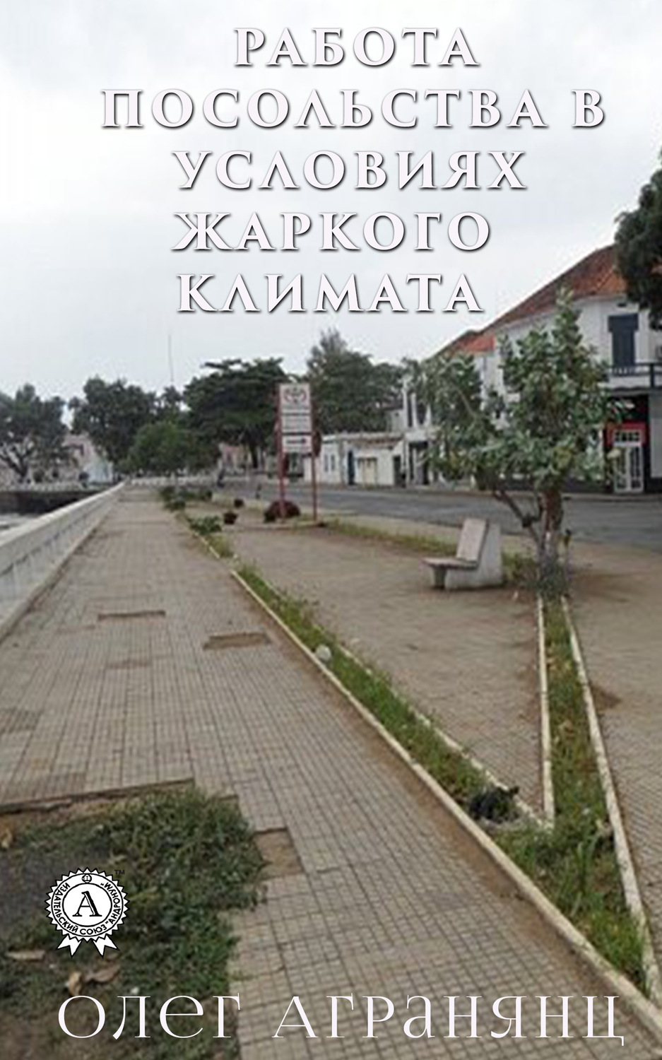 Обложка книги «Работа посольства в условиях жаркого климата»