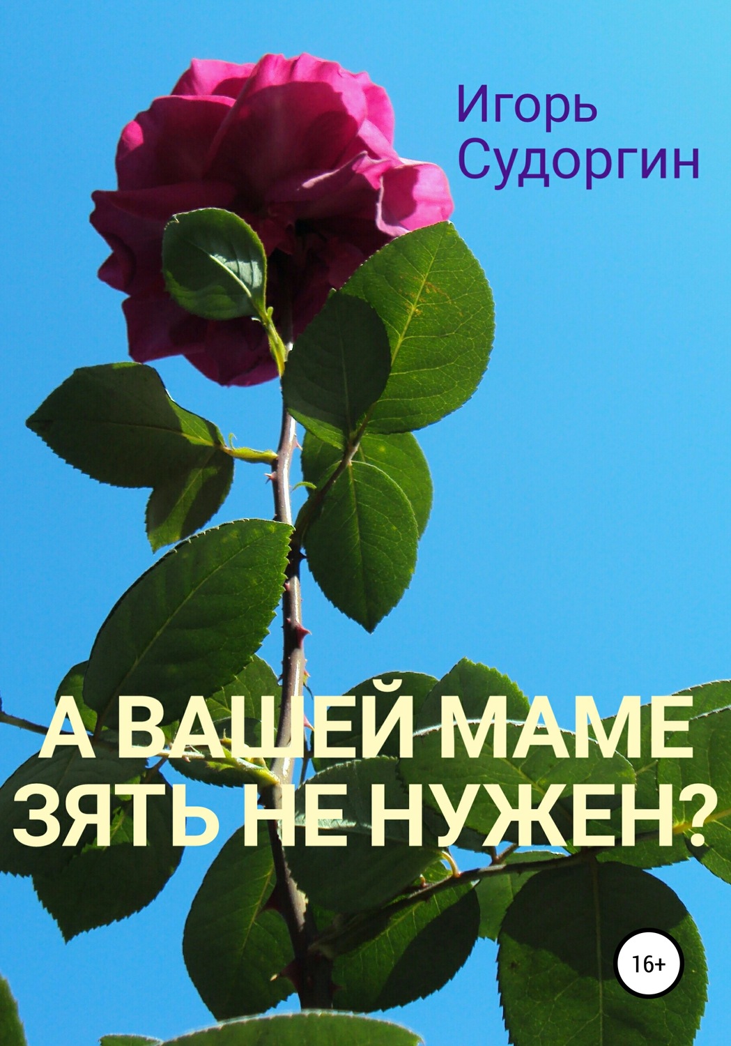 Обложка книги «А вашей маме зять не нужен?»