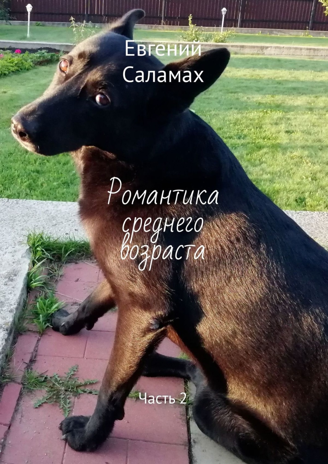 Обложка книги «Романтика среднего возраста. Часть 2»