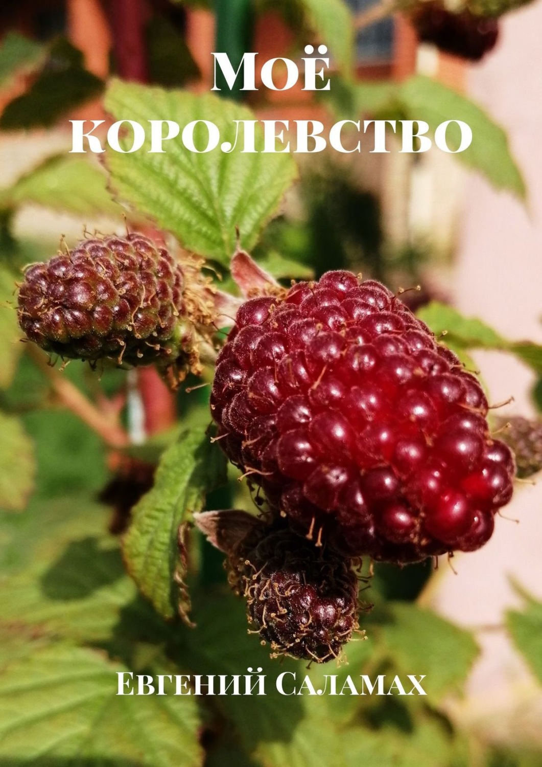 Обложка книги «Моё королевство»