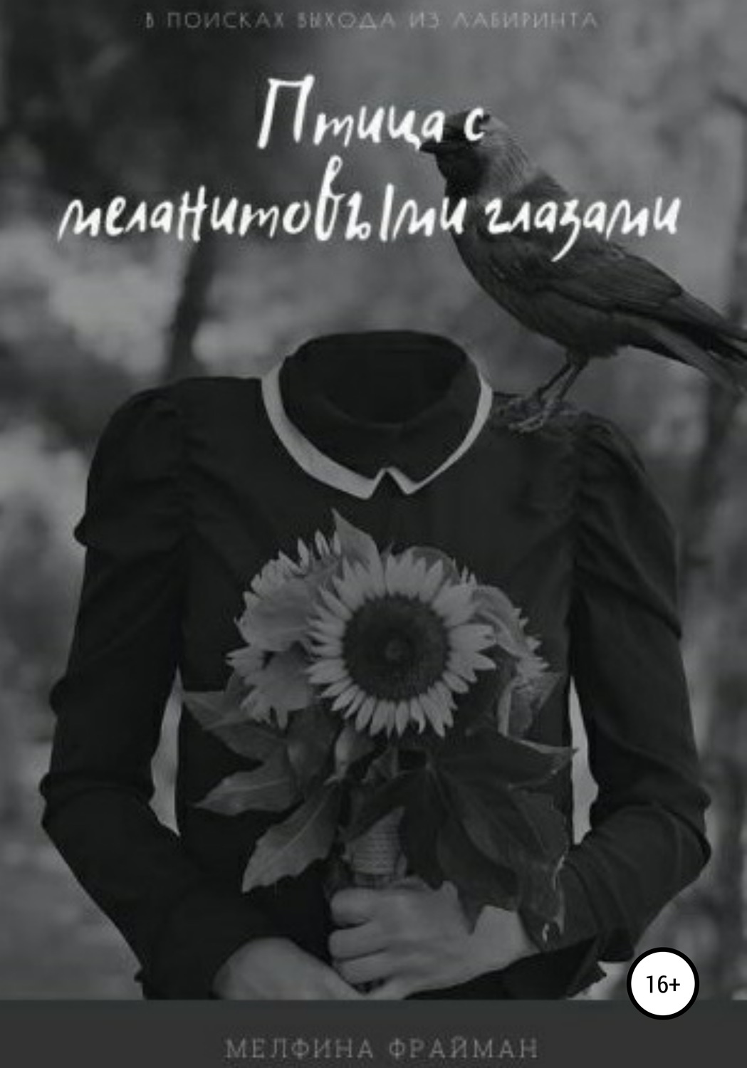 Обложка книги «Птица с меланитовыми глазами»